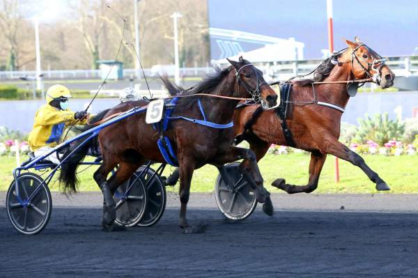 Hardi Crown ARRIVEE PRIX D'YVETOT - CE - QUINTE + HIPPODROME DE VINCENNES 31/01/2022