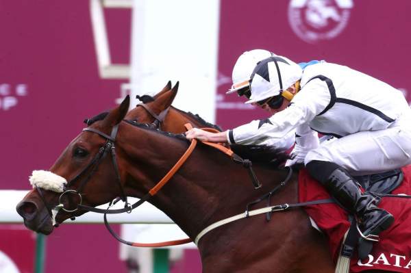 Al Qareem Arrivée PMU Qatar Prix Chaudenay à ParisLongchamp
