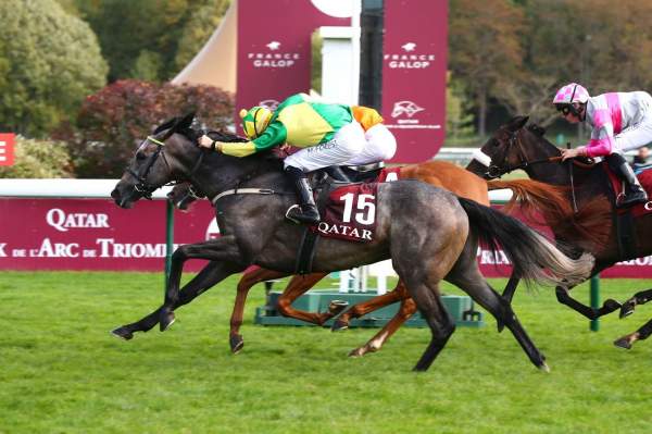 Utamaro Arrivée Quinté+ PMU Qatar Prix de la Place des Vosges à ParisLongchamp