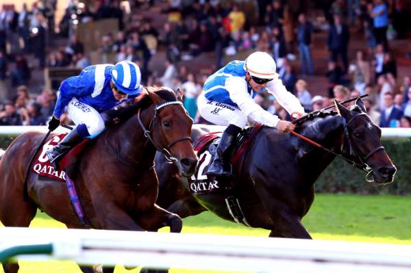 Anmaat Arrivée Pick5 PMU Qatar Prix Dollar samedi à ParisLongchamp