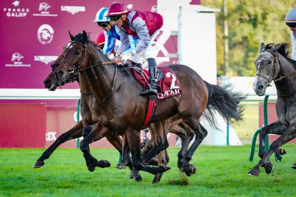 Harper Arrivée Pmu Qatar Prix de la Place de la Concorde à ParisLongchamp