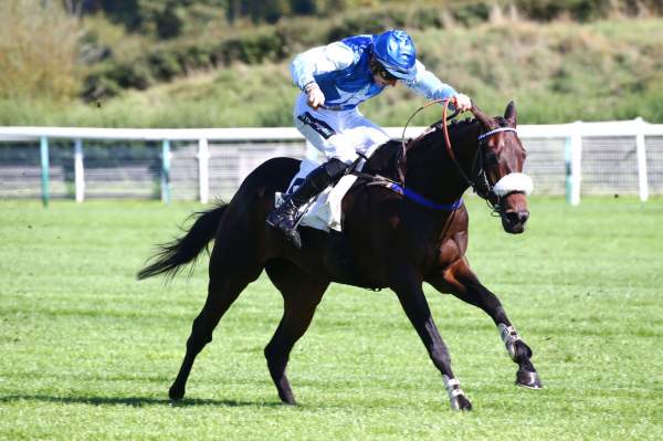 Icare Du Seuil PRIX FEZENSAC - HIPPODROME d'AUTEUIL 04/10/2022