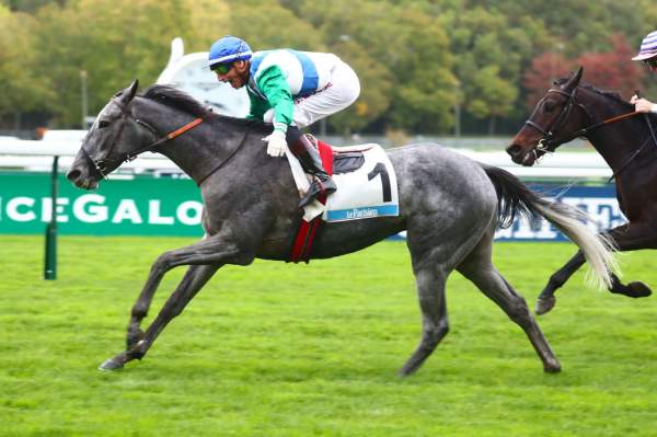 PRINCE DE MONTFORT