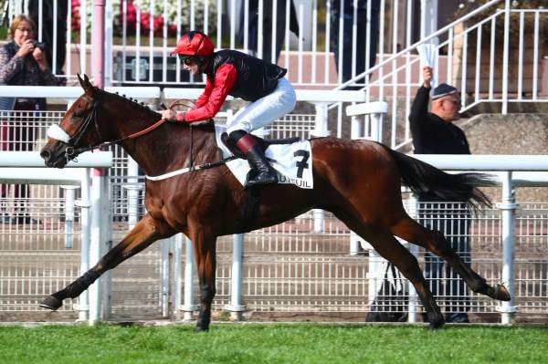 Impressive Machin Arrivée Quinté+ PMU Prix Santo Pietro à Auteuil