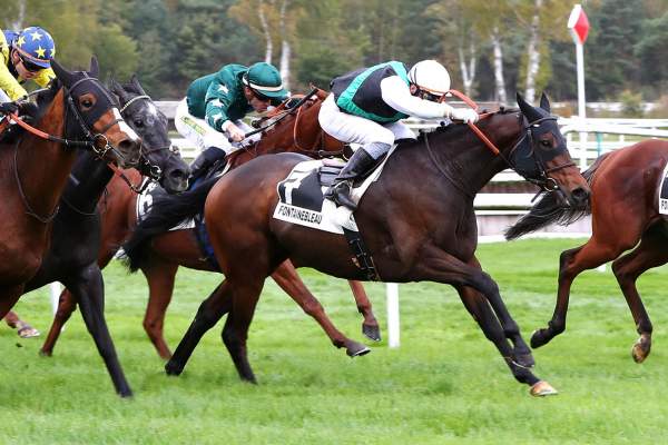 King Robbe Arrivée Quinté+ Pmu Prix de la Seine-et-Marne à Fontainebleau