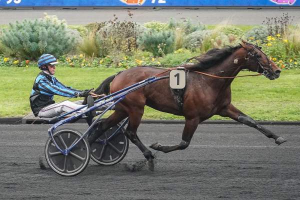 Idao De Tillard Arrivée Quinté+ Pmu Prix Marcel Laurent à Vincennes