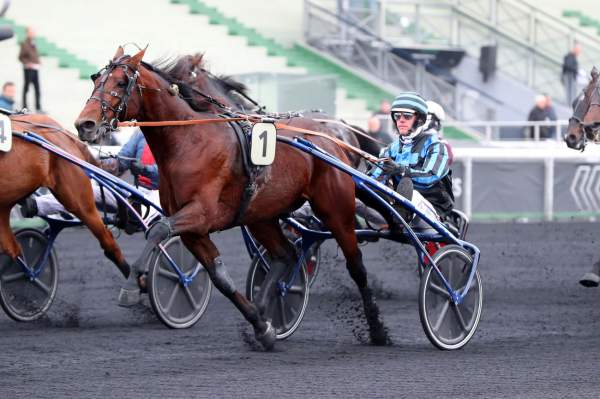 Idao De Tillard PRIX MARCEL LAURENT - CE - G2 - QUINTE + - HIPPODROME DE VINCENNES 10/11/2022