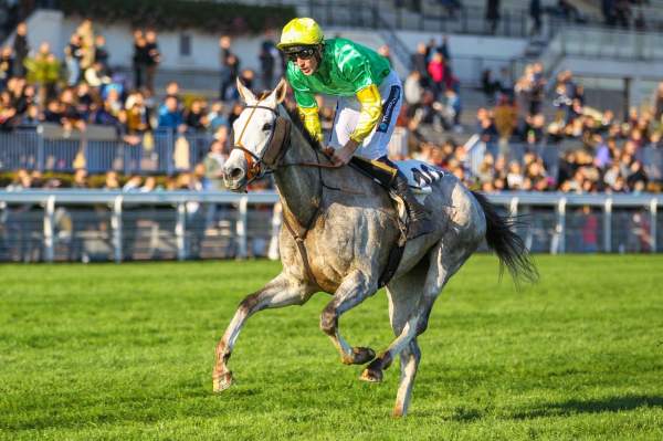 Gessy Raiselle Arrivée PMU Prix Maurice Gillois - Grand Steeple-Chase des 4 Ans à Auteuil