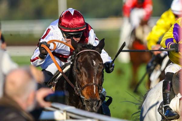 Anouma Freedom Arrivée Quinté+ PMU Prix Rmc Découverte - Prix Count Schomberg à Auteuil
