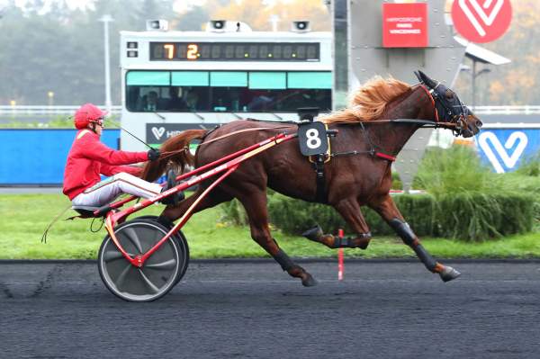 Kamehameha PRIX TIMOKO - G3 - HIPPODROME DE VINCENNES 26/11/2022