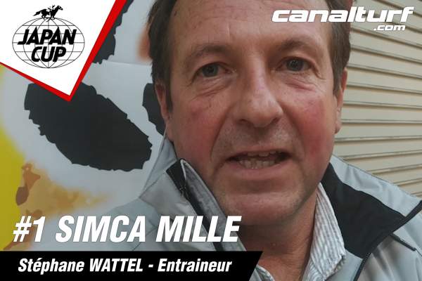 La photo de Stéphane Wattel