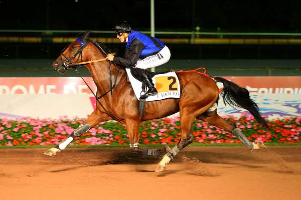 FAVORI JET