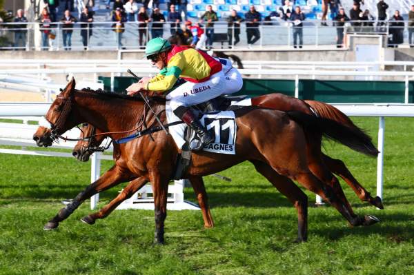 Jimble Moon PRIX KATKO - QUINTE + - HIPPODROME DE CAGNES SUR MER 12/12/2022