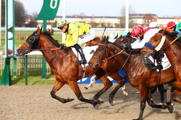 Blues Rock PRIX DU JARDIN DES EAUX MINERALES - QUINTE + HIPPODROME de CHANTILLY 13/12/2022