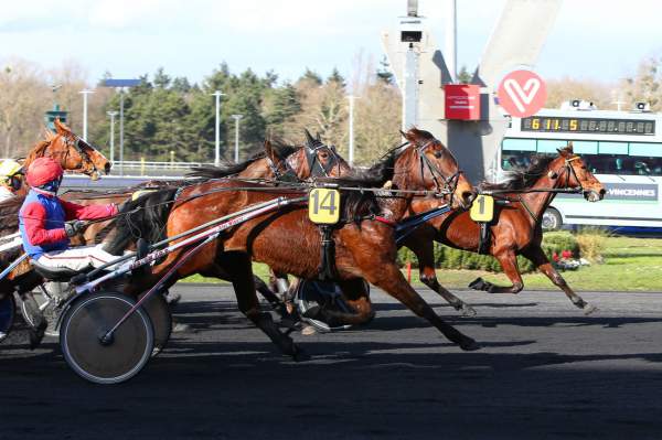Zante Breed Arrivée Quinté+ Pmu Prix de Senlis à Vincennes