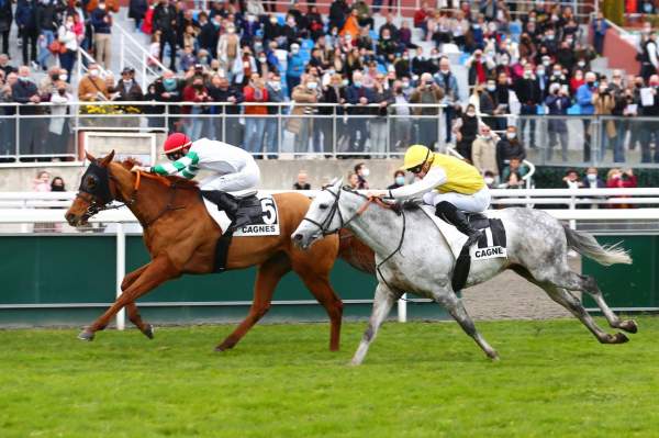 Amedras ARRIVEE PRIX DE LA PROMENADE DE LA PLAGE (PRIX JACQUES GELIOT) - QUINTE + HIPPODROME DE CAGNES SUR MER 19/02/2022