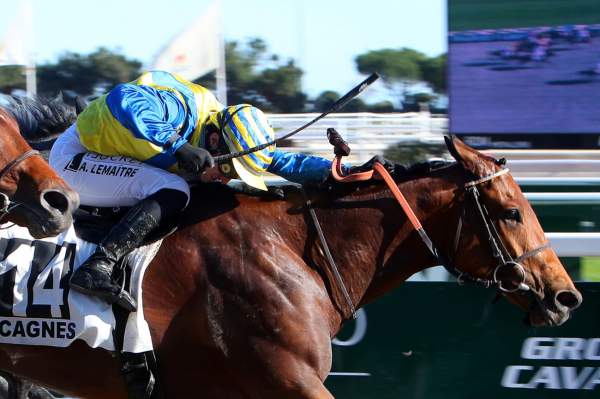 By The Way ARRIVEE PRIX DU VAR - QUINTE + HIPPODROME DE CAGNES SUR MER 26/02/2022