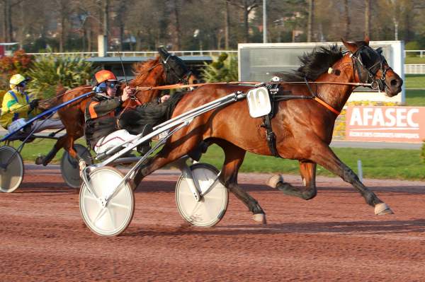 IDEAL DU GOULOT