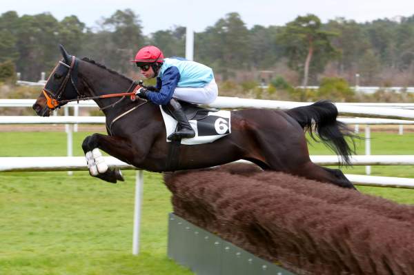 SAGA DU BERLAIS
