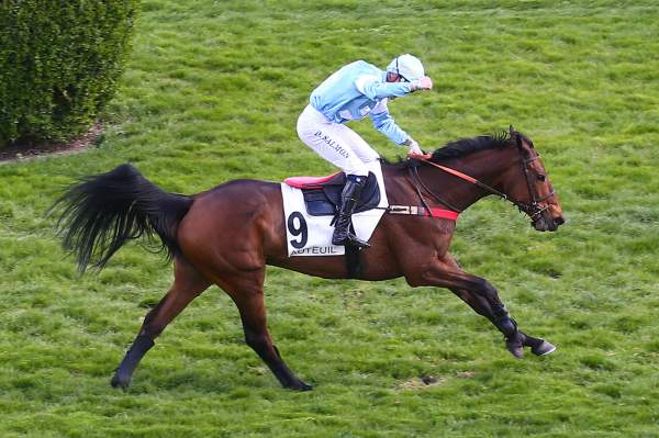 Road Mix Tavel Arrivée Quinté+ Pmu Prix du Président de la République 2022 à Auteuil