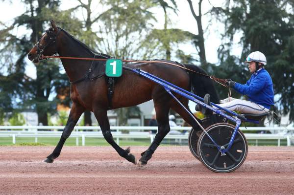 Girolamo
