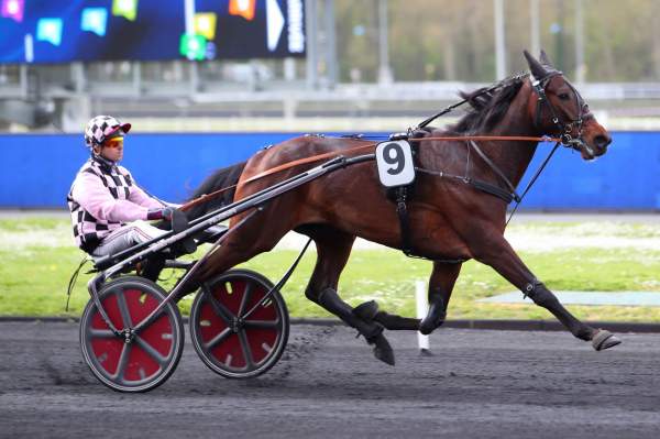 JEWEL CASH
