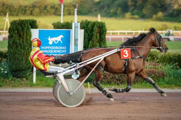 Galileo Bello Arrivée Prix HUBERTA - QUINTE + -Hippodrome de MAUQUENCHY 29/04/2022
