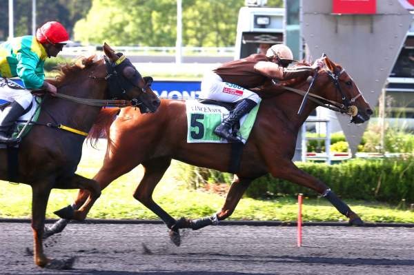 Georgica Gede Arrivée course PMU Prix Roger Ledoyen 2022 à Vincennes
