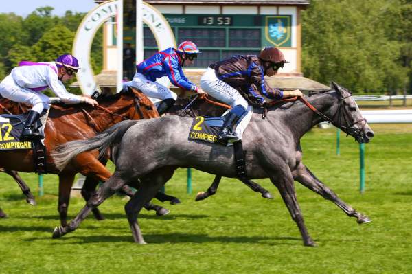 Susu's Dimples Arrivée Quinté+ Pmu Prix Benjamin Boutin 2022 à Compiègne