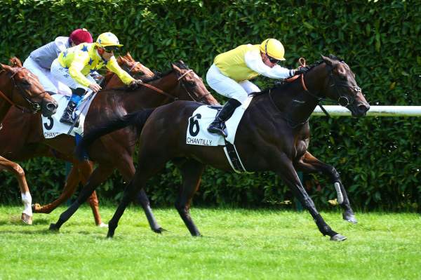Kingentleman PRIX TEXANITA - G3 HIPPODROME de CHANTILLY 16/05/2022