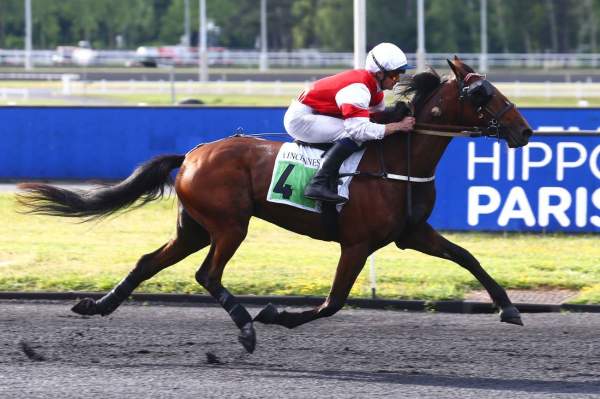 ELISIO VICTORY