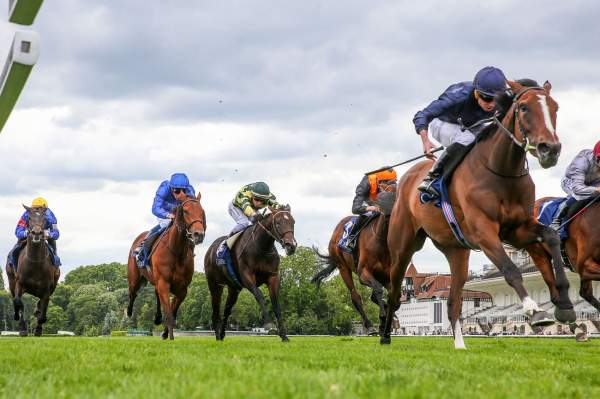 Above The Curve ST MARK'S BASILICA COOLMORE PRIX SAINT-ALARY - G1 - Paris Longchamp 29/05/2022