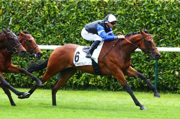 Good Guess PRIX D'ORGEMONT - HIPPODROME DE CHANTILLY 05/06/2022