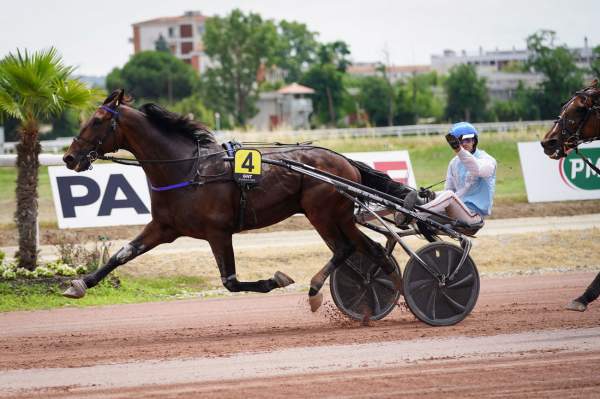 Gently De Muze GRAND NATIONAL DU TROT PARISTURF - 7 ème ETAPE DU GNT - G3 - QUINTE + - HIPPODROME DE TOULOUSE 22/06/2022