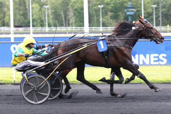 Vivid Wise As PRIX RENE BALLIERE - CI - G1 HIPPODROME DE VINCENNES 26/06/2022