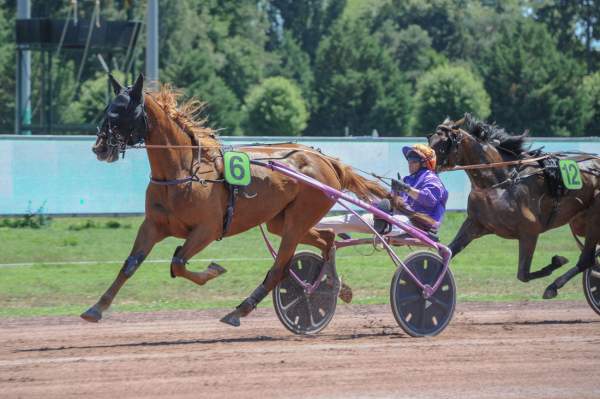 HISTORY DE BELFOND