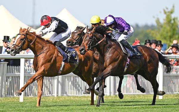 Kyprios Kyprios wins the Gold Cup Royal Ascot 2022
