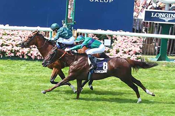 Nashwa Arrivée Quinté+ Pmu Prix de Diane Longines 2022 à Chantilly