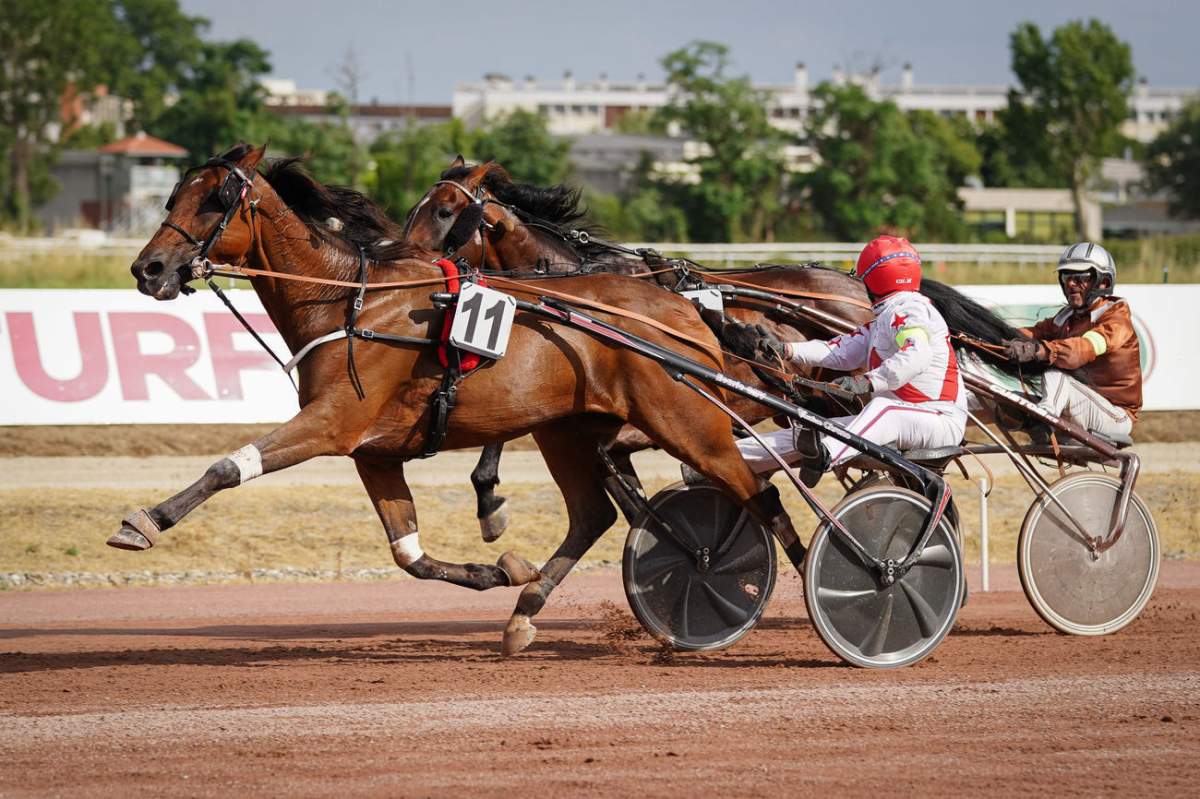 Domaine saint jean de la cavalerie Haute Voltige main image 0