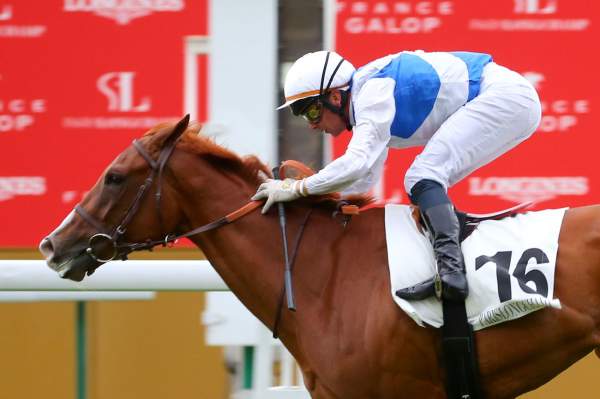 Sunray Arrivée Quinté+ Pmu Prix du Petit Pré 2022 à ParisLongchamp