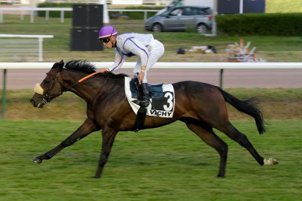 Hayejohn PRIX DES JOUVENCEAUX ET DES JOUVENCELLES - BERNARD FERRAND - LR HIPPODROME DE VICHY 20/07/2022