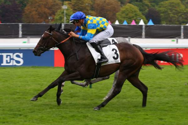 LADY FRASQUITA