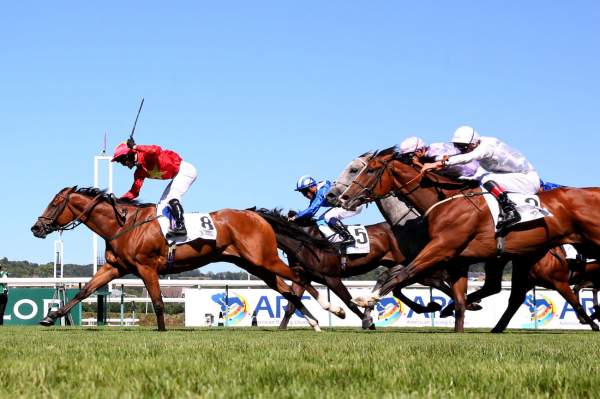 Highfield Princess ARC PRIX MAURICE DE GHEEST - G1 HIPPODROME de DEAUVILLE 07/08/2022