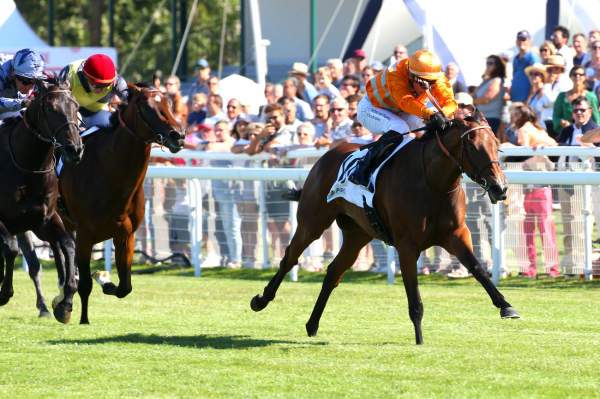 Rose Premium PRIX MOONLIGHT CLOUD - COPA FERNANDO PENA - LR -HIPPODROME DE DEAUVILLE 07/08/2022