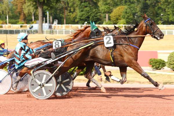 IMPACT DE L'ITON
