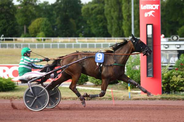 Elmagnifico De Lou Arrivée Quinté+ Pmu Prix du Pont de l'Alma 2022 à Enghien