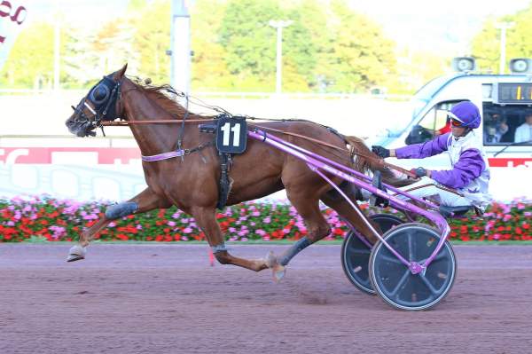 IDOLE D'OURVILLE