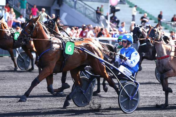 Vega Of Saints YEARLING CUP 2022 - ARQANA TROT - G3 HIPPODROME DE VINCENNES
27/08/2022