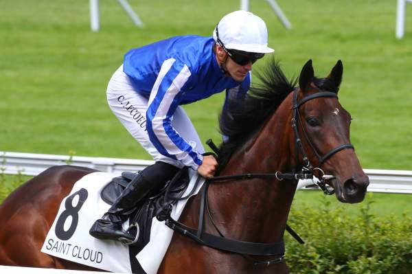 ZARAK STAR