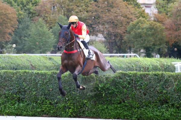 FLEURON D'ARTHEL